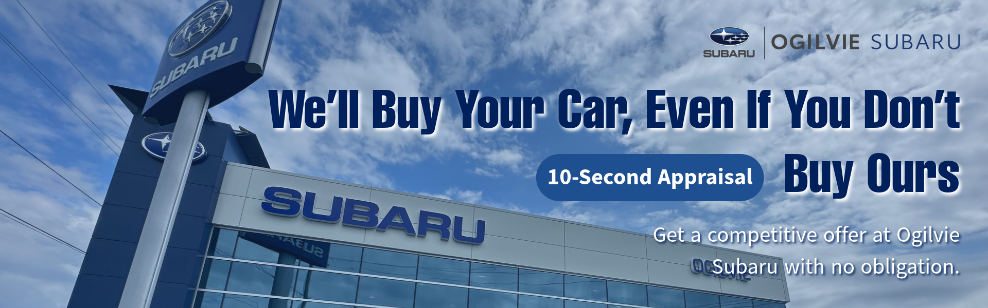 We'll Buy Your Car
